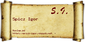 Spicz Igor névjegykártya